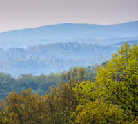 Ozark Hills