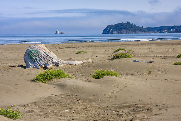 California Redwoods beach
