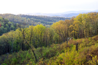 Ozark Hills