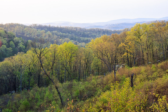 Ozark Hills