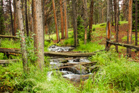 Forest stream, Rocky Mountain National Park