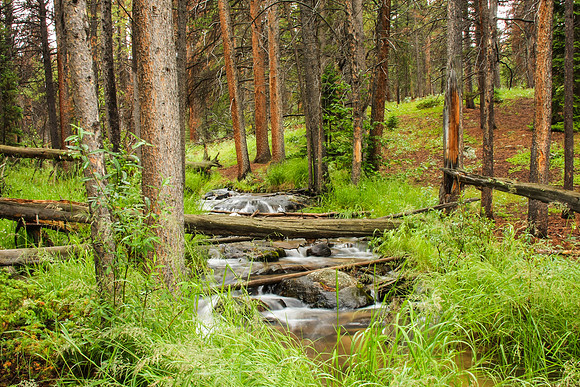 Forest stream, Rocky Mountain National Park