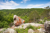 Lichen rock, Ozarks