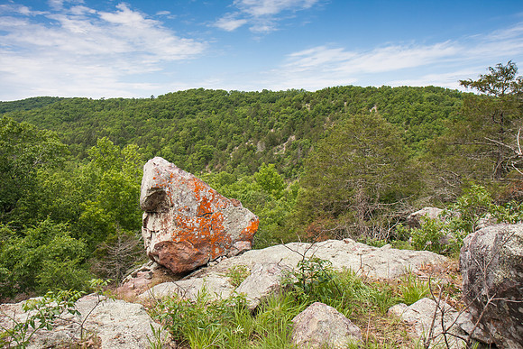 Lichen rock, Ozarks