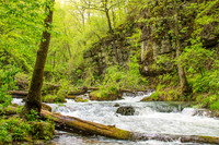 Greer Springs, Ozarks