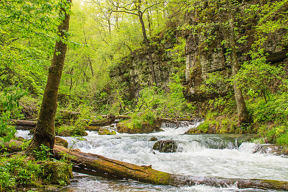 Greer Springs, Ozarks