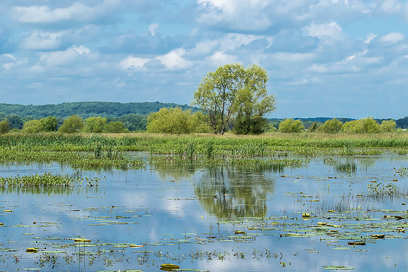 Baker Wetlands, Lawrence, Kansas